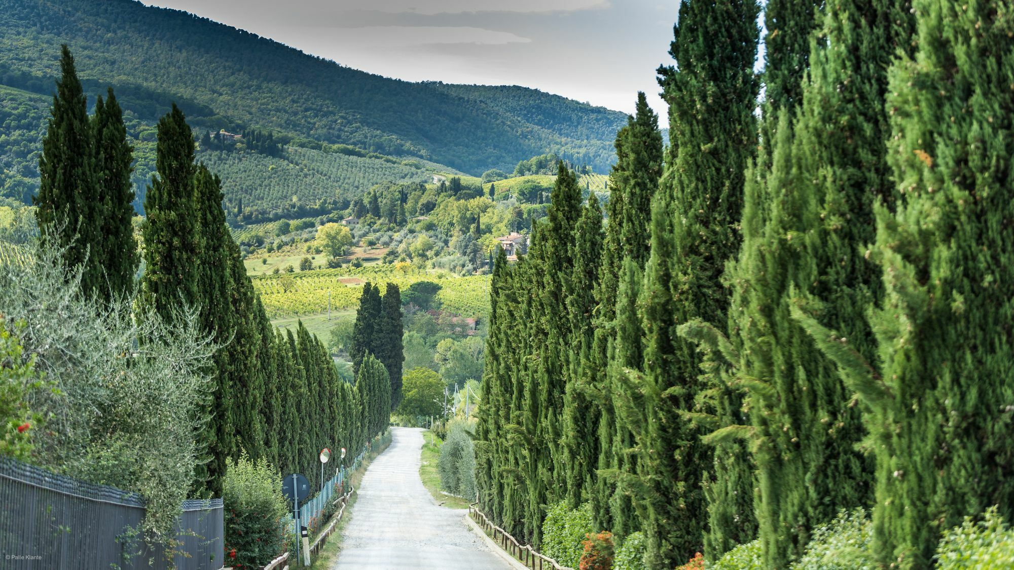 Agriturismo I Pini 산지미냐노 외부 사진